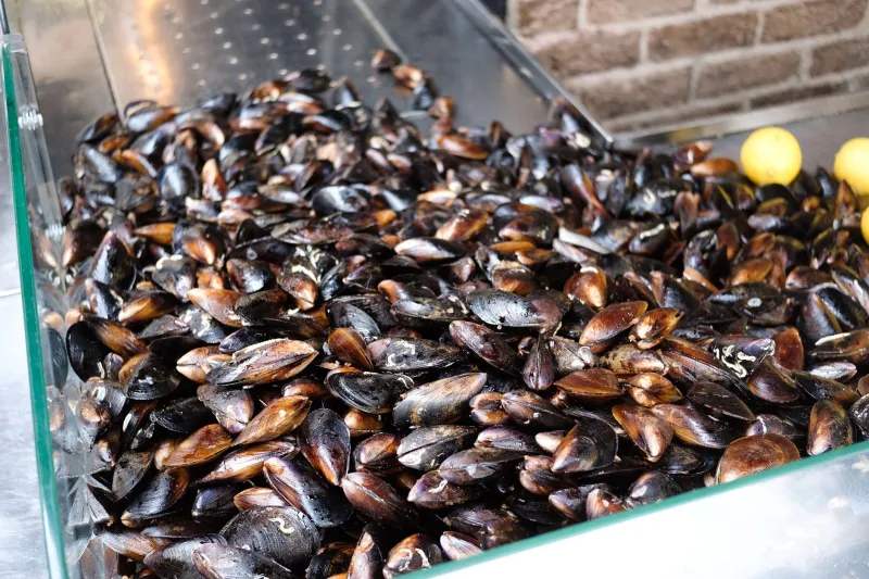 Catch of the Day, Every Day: How to Eat Like a Local Along Bodrum's Waterfront